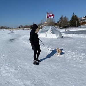 Meet your Posher, Lexie